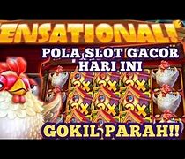 The Tweety House Slot Hari Ini Live Streaming Youtube Hari Ini